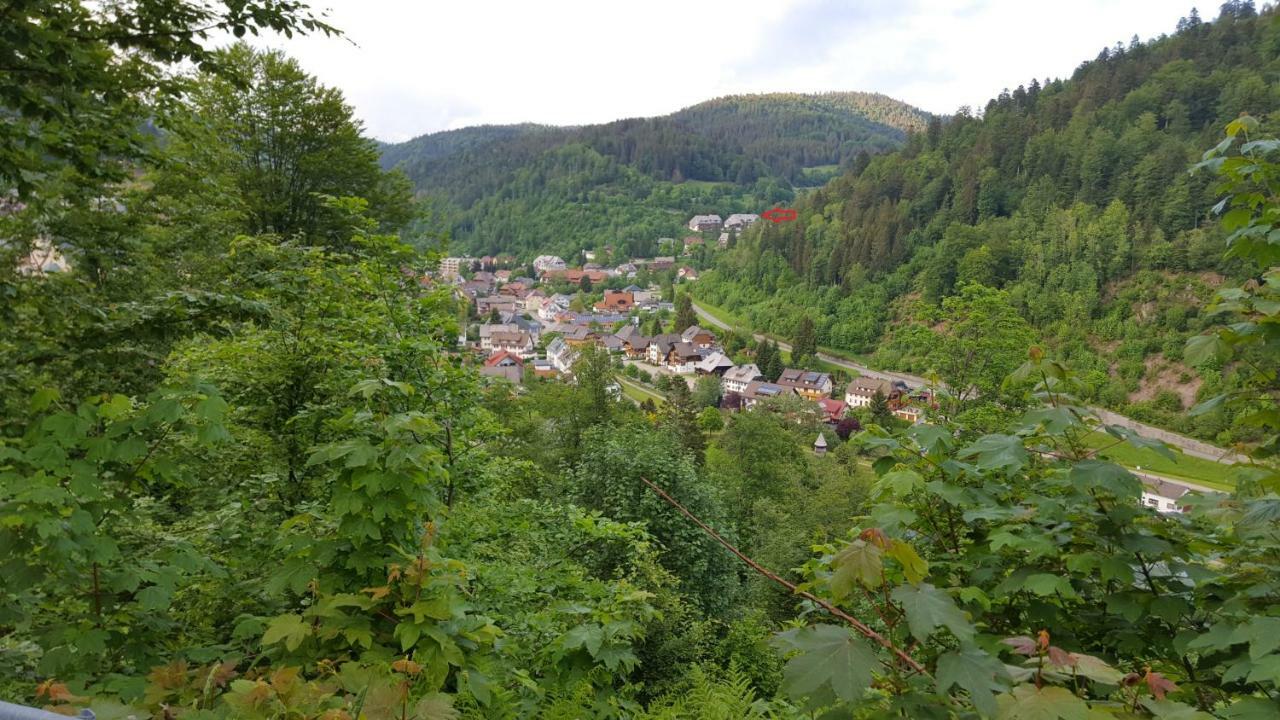 Ferienwohnung im Schwarzwald Todtmoos Exterior foto